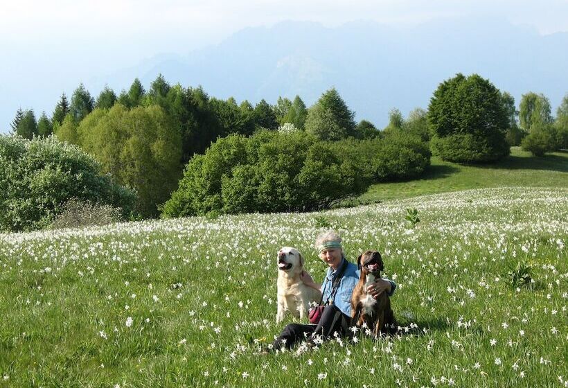 ホテル Bioagriturismo Vegan Campo Di Cielo