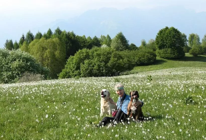 Hotelli Bioagriturismo Vegan Campo Di Cielo