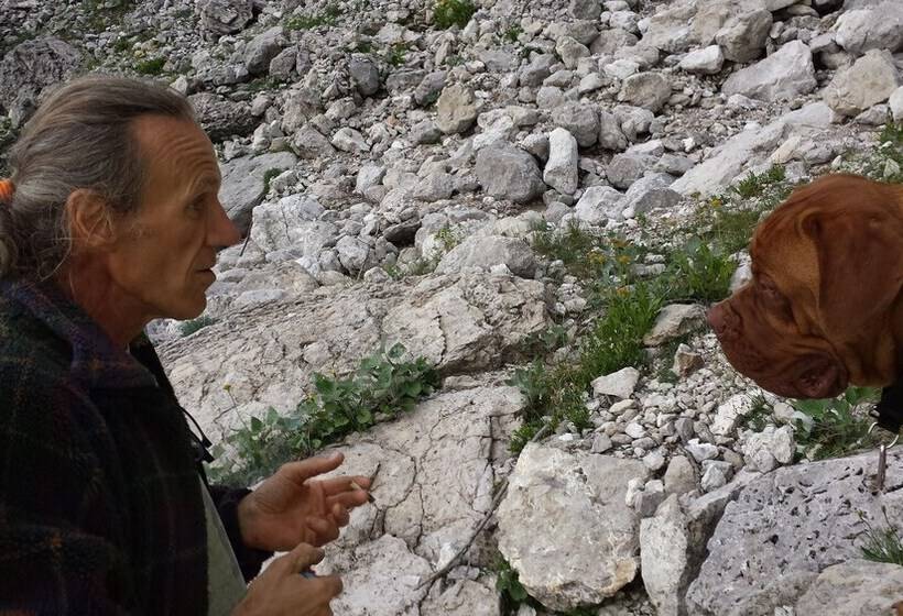 ホテル Bioagriturismo Vegan Campo Di Cielo