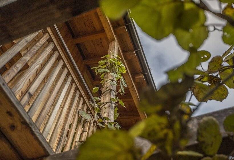 ホテル Bioagriturismo Vegan Campo Di Cielo