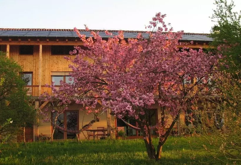 Hotelli Bioagriturismo Vegan Campo Di Cielo