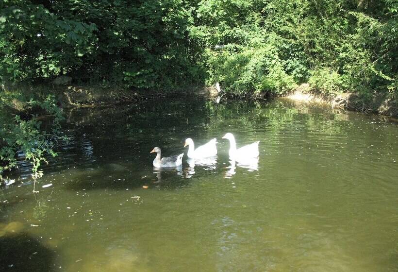 ホテル Bioagriturismo Vegan Campo Di Cielo