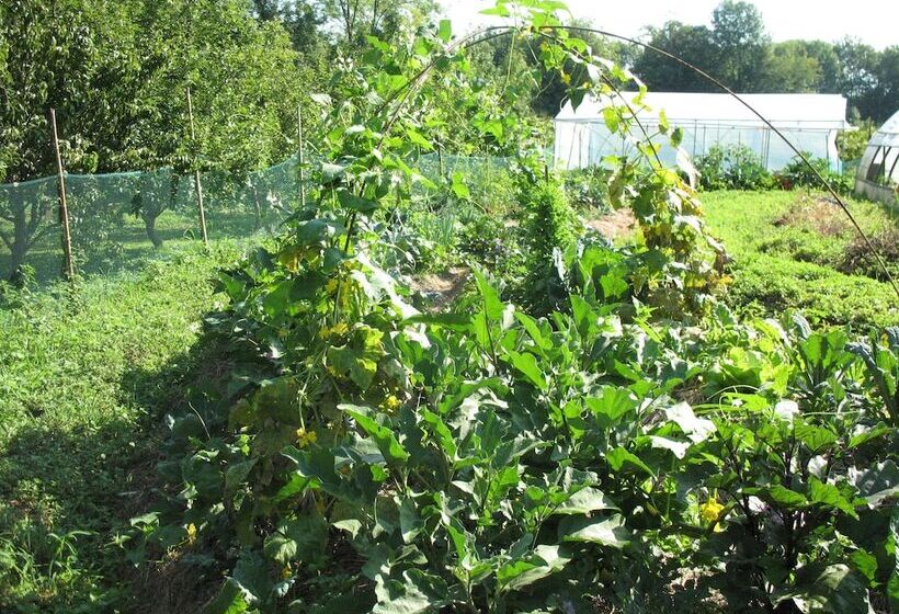 ホテル Bioagriturismo Vegan Campo Di Cielo