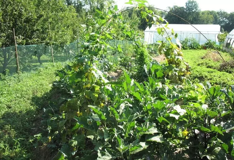 Hotelli Bioagriturismo Vegan Campo Di Cielo