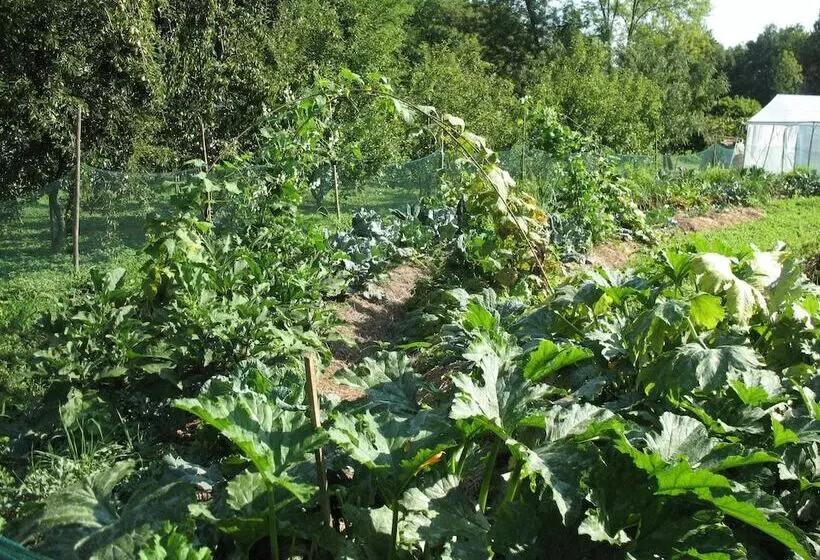 Hotelli Bioagriturismo Vegan Campo Di Cielo