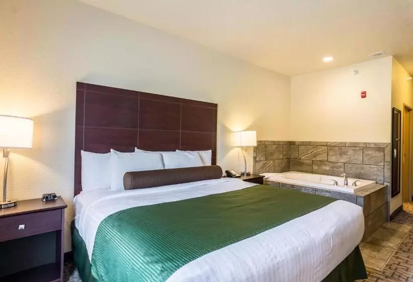 Cobblestone Hotel & Suites   Erie