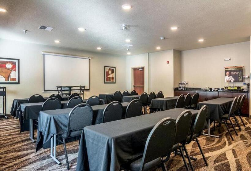 Cobblestone Hotel & Suites   Erie