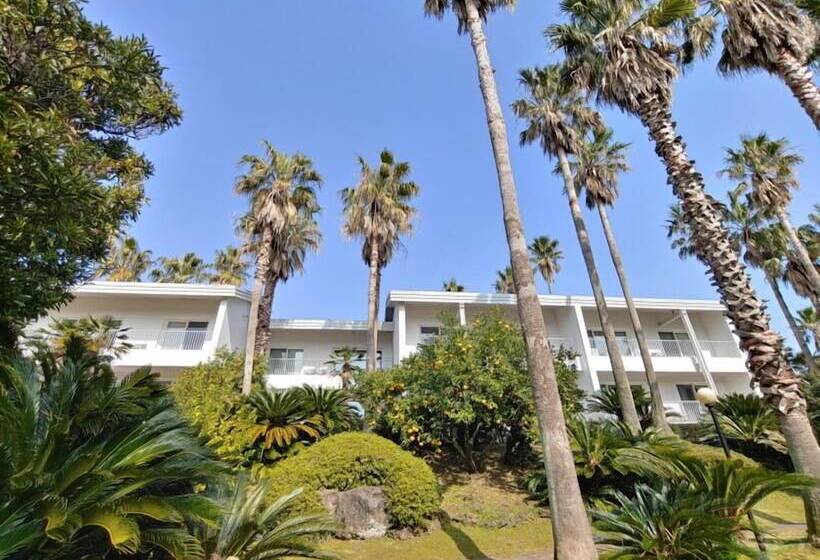 فندق Springhill Resort