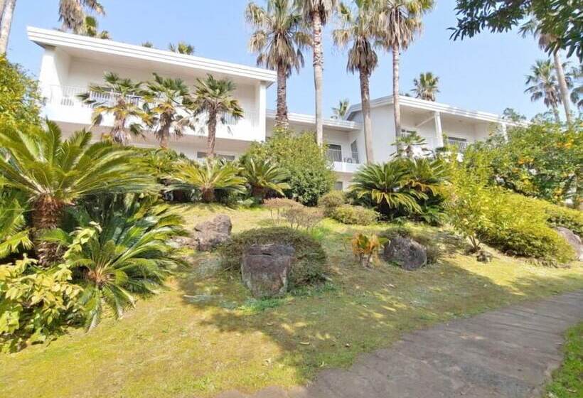 فندق Springhill Resort