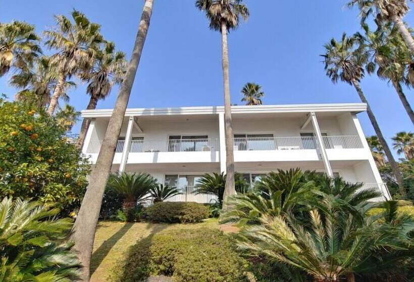 فندق Springhill Resort