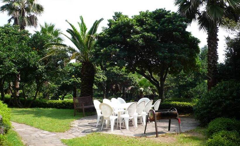 فندق Springhill Resort