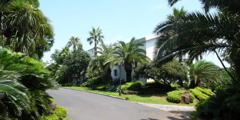 هتل Springhill Resort