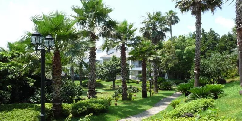 هتل Springhill Resort