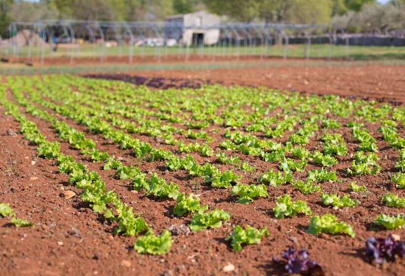 فندق Villa Margaret