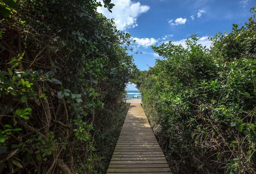 بنسيون Thonga Beach Lodge