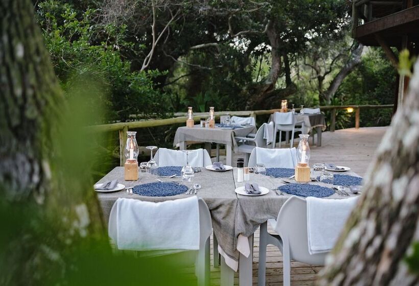 بنسيون Thonga Beach Lodge