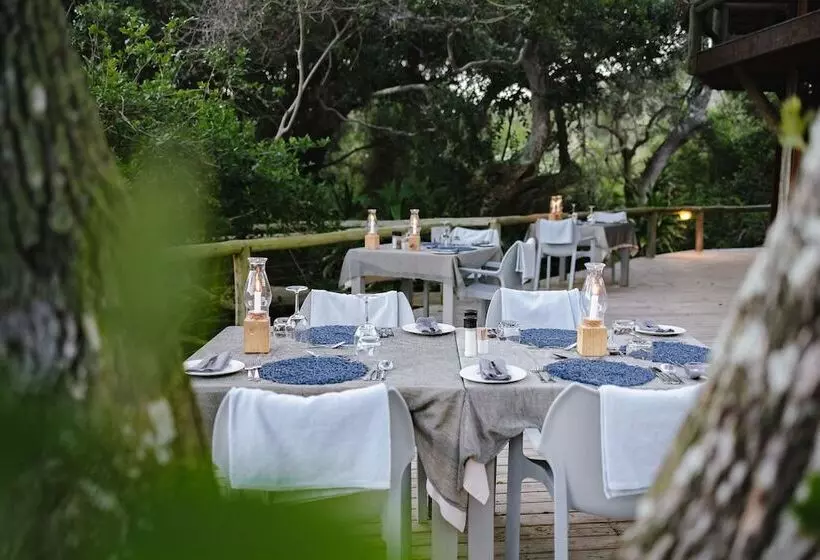 ペンション Thonga Beach Lodge