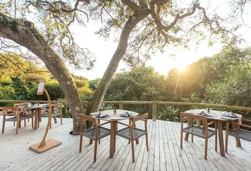 ペンション Thonga Beach Lodge