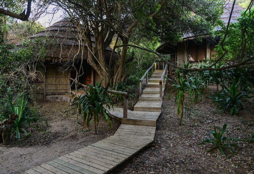 بنسيون Thonga Beach Lodge