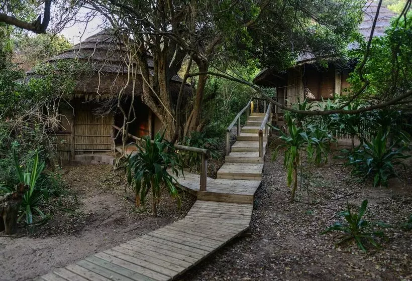 ペンション Thonga Beach Lodge