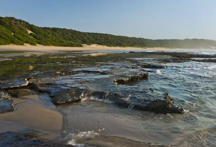 ペンション Thonga Beach Lodge