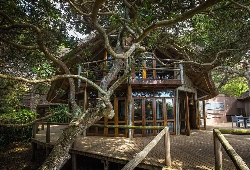 ペンション Thonga Beach Lodge
