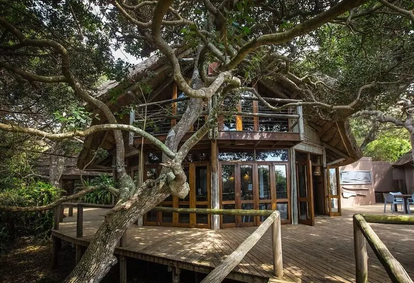 ペンション Thonga Beach Lodge