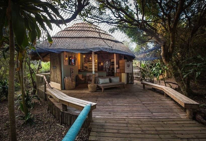 بنسيون Thonga Beach Lodge