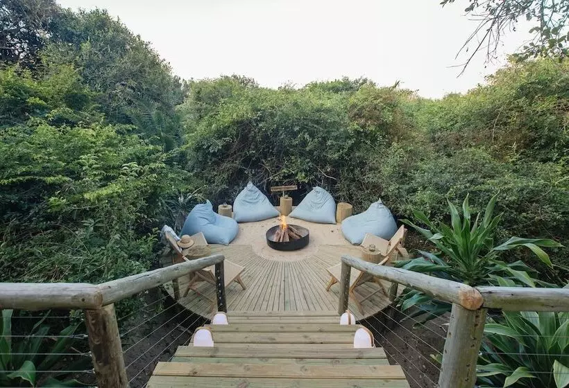 ペンション Thonga Beach Lodge