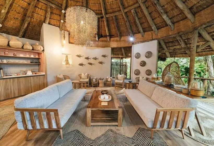 ペンション Thonga Beach Lodge