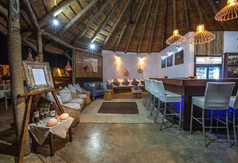 ペンション Thonga Beach Lodge