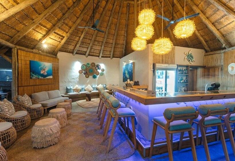 بنسيون Thonga Beach Lodge
