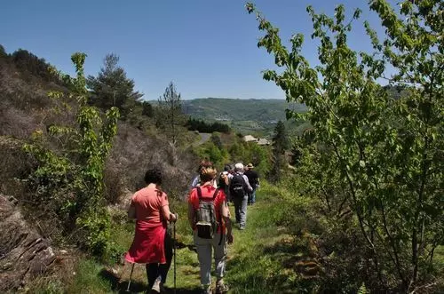Lomakeskus Aux Portes Des Monts D'aubrac