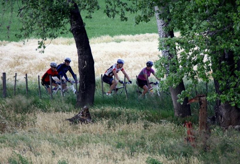 Surval Boutique Olive Estate