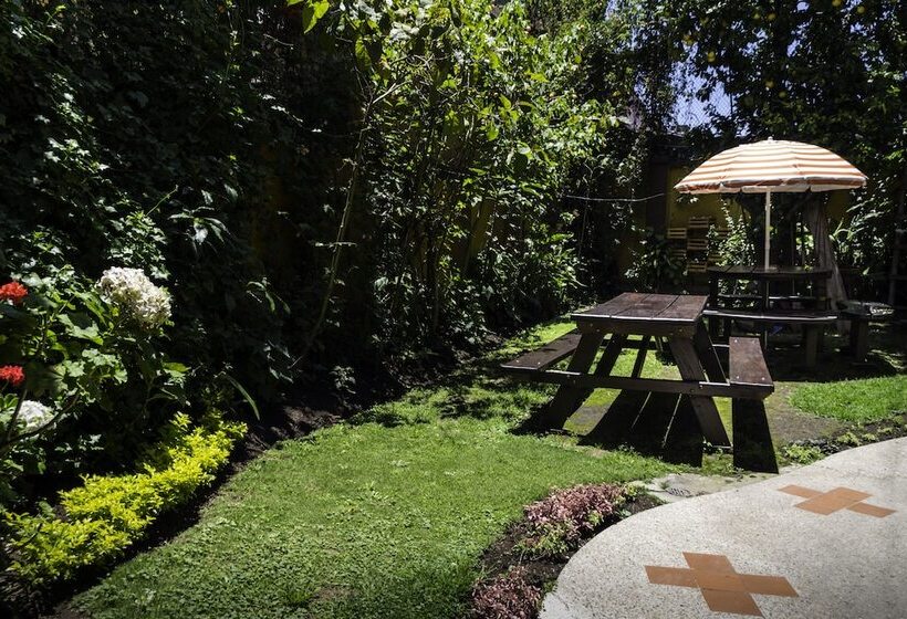 Arupo Bed And Breakfast