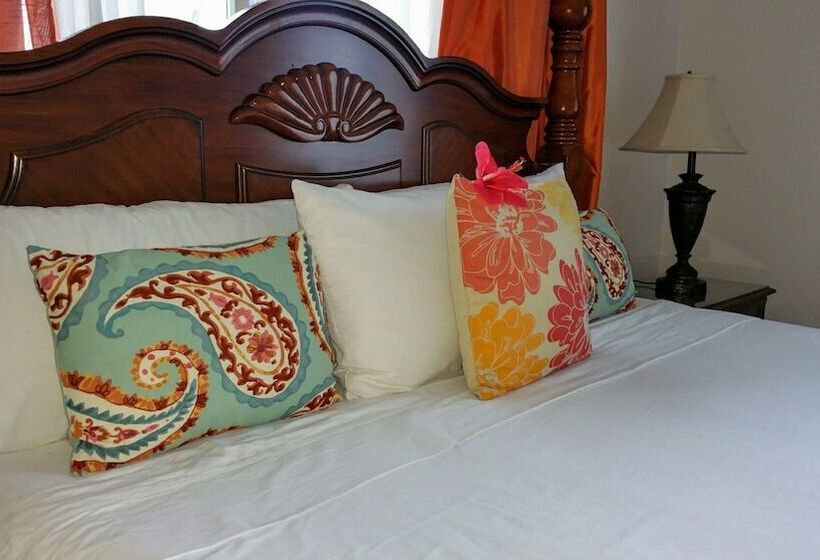 Fern Court Apartment With Oceanic View