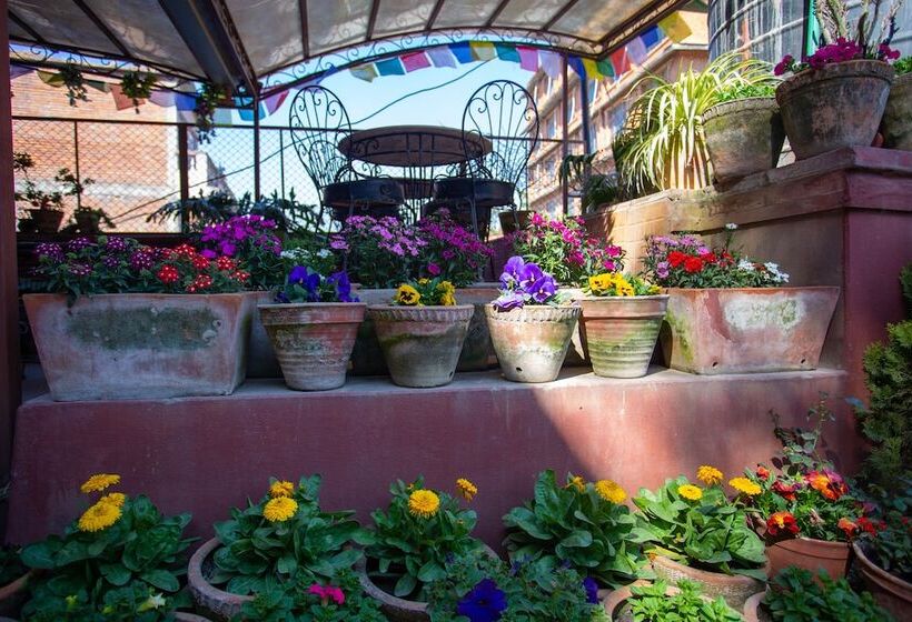 هتل The Boudha Inn