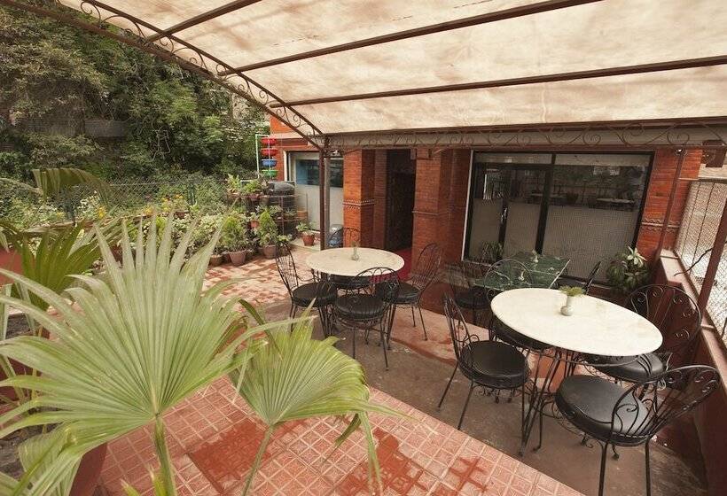 هتل The Boudha Inn