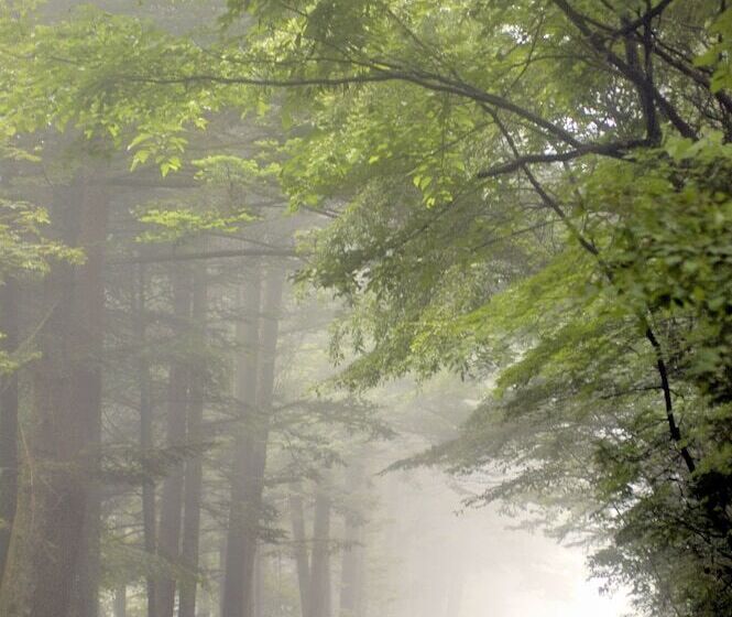 فندق Karuizawa Marriott