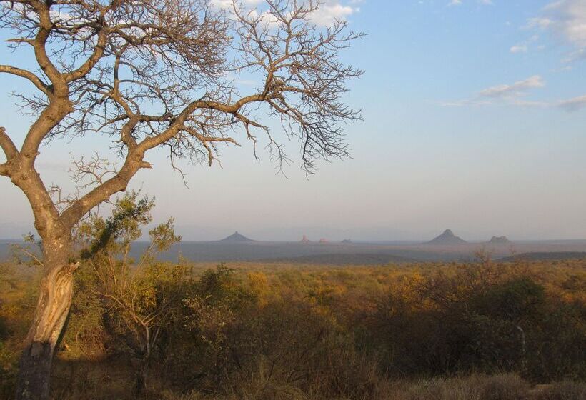 ホテル Sausage Tree Safari Camp