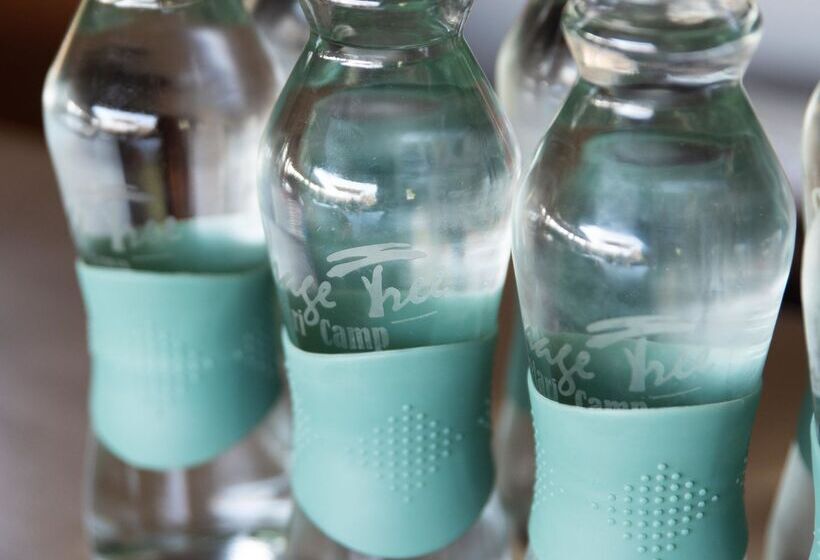 ホテル Sausage Tree Safari Camp