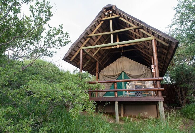 ホテル Sausage Tree Safari Camp