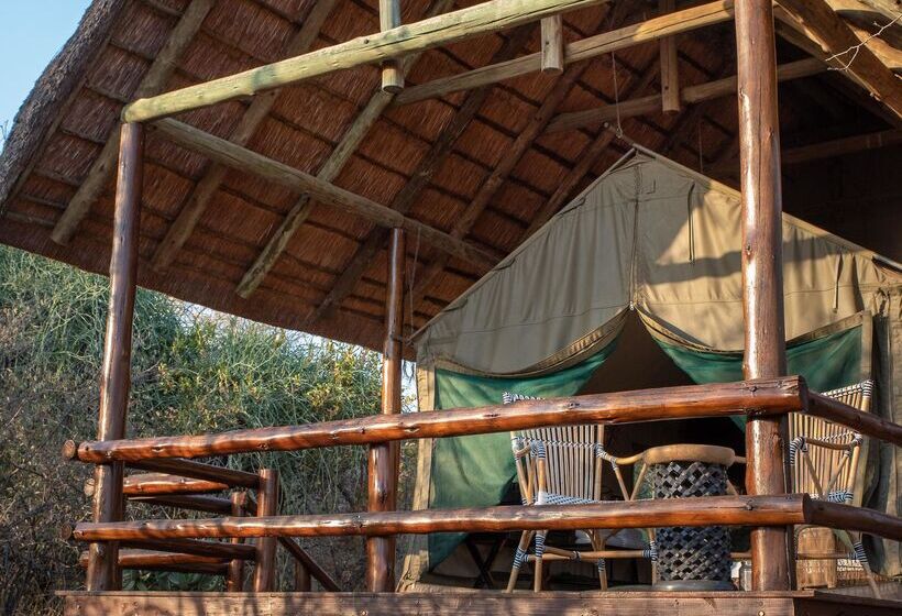 ホテル Sausage Tree Safari Camp