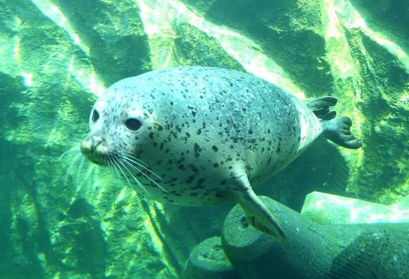 Hotel Trend Asahikawa