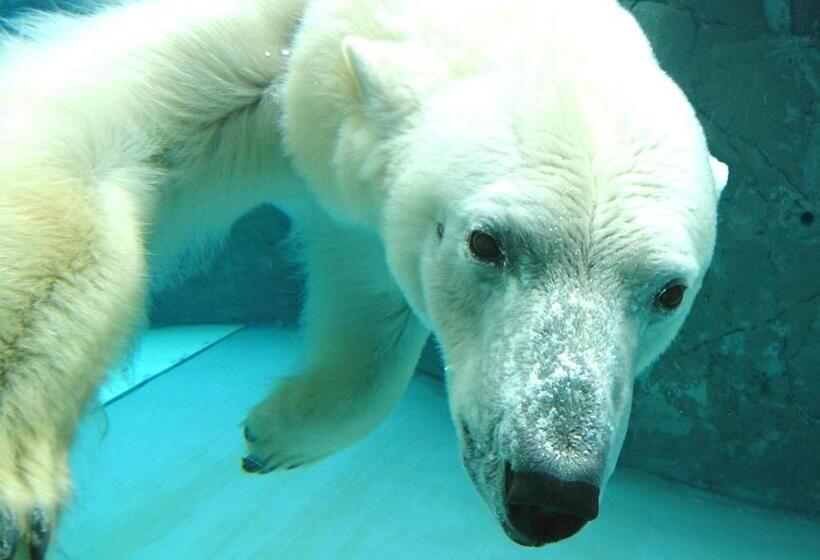 Hotel Trend Asahikawa