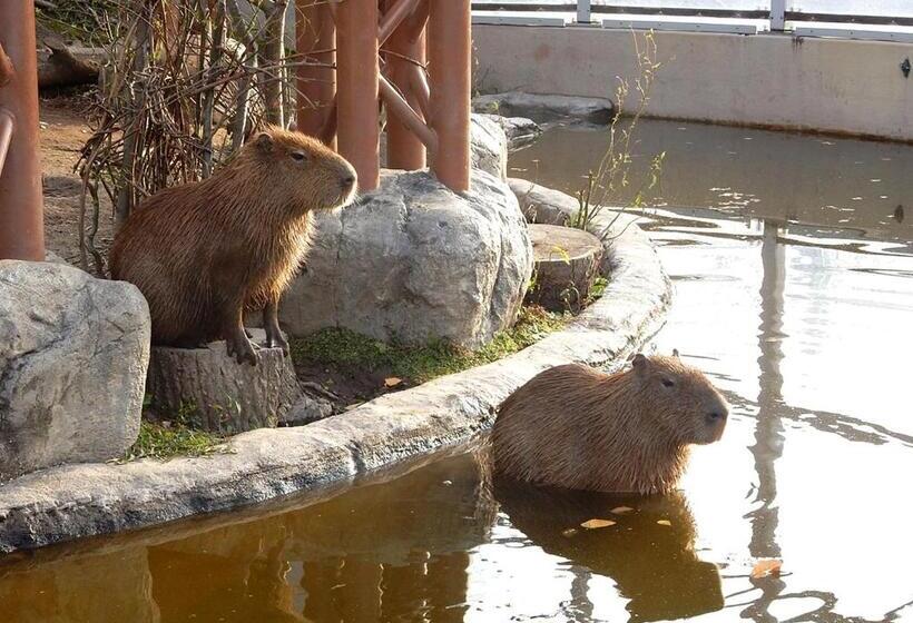 Hotel Trend Asahikawa