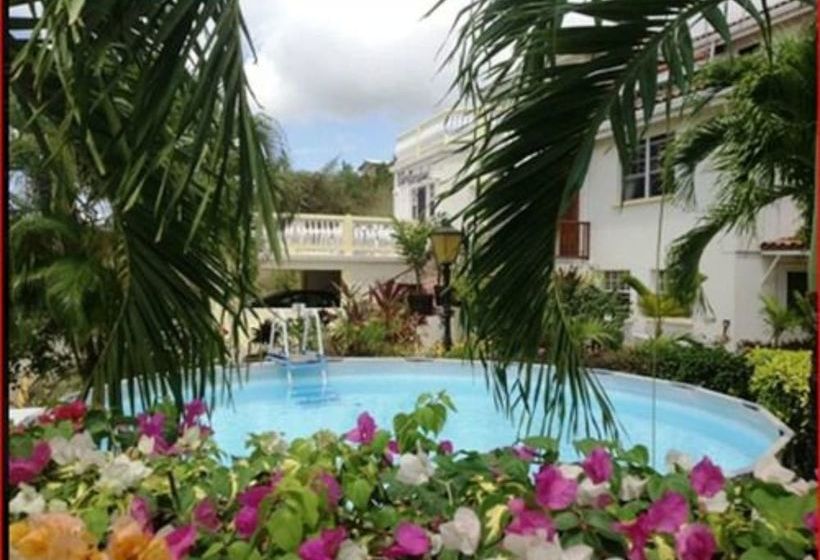 پانسیون Palm Paradise Guest House And Apartments