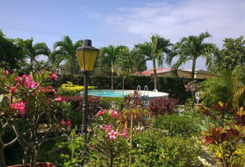 پانسیون Palm Paradise Guest House And Apartments