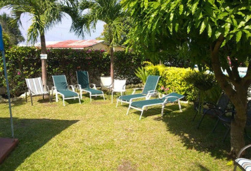 پانسیون Palm Paradise Guest House And Apartments