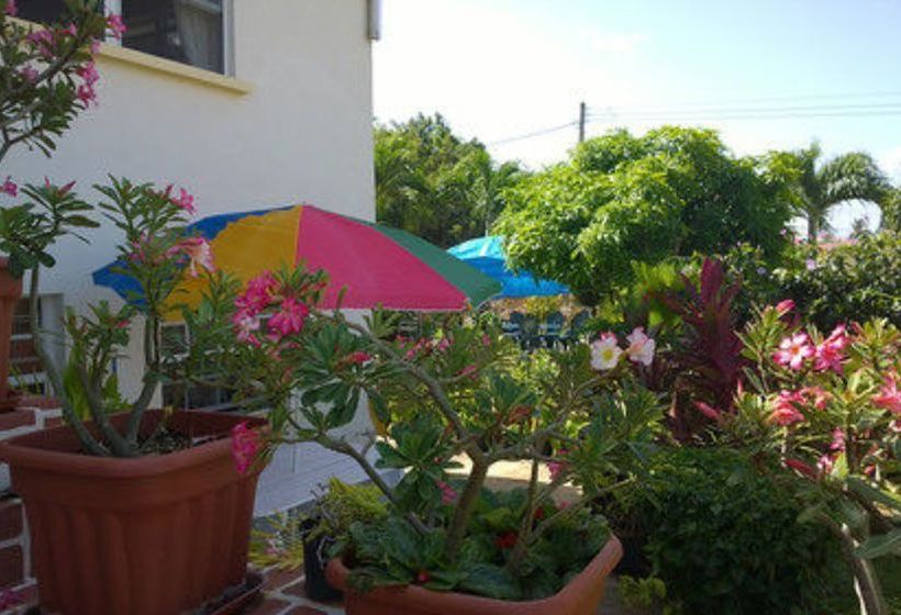 پانسیون Palm Paradise Guest House And Apartments